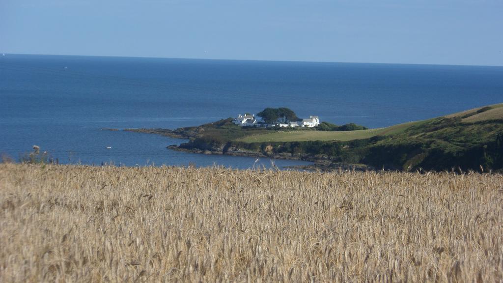 Wild Air Guest House Mevagissey Eksteriør bilde