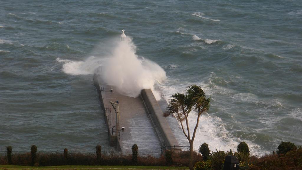 Wild Air Guest House Mevagissey Rom bilde